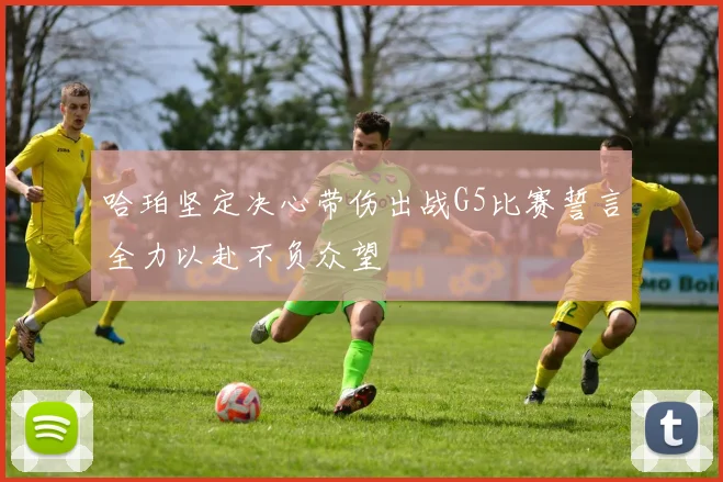 哈珀坚定决心带伤出战G5比赛誓言全力以赴不负众望
